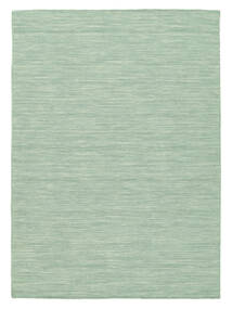  キリム ルーム - ミントグリーン 絨毯 200X300 モダン 手織り ミントグリーン (ウール, )