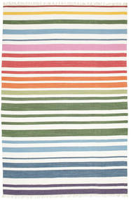  250X300 Rainbow Stripe マルチカラー 大 絨毯 