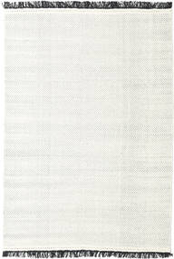  Barfi - 黒/白色 絨毯 160X230 モダン 手織り 黒/白色 (ウール, )