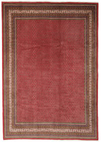 258X355 絨毯 オリエンタル サルーク Mir 絨毯 深紅色の/茶 大きな (ウール, ペルシャ/イラン)