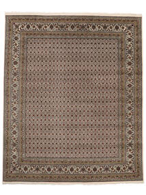 絨毯 タブリーズ Royal 246X300 茶/黒 ( インド)